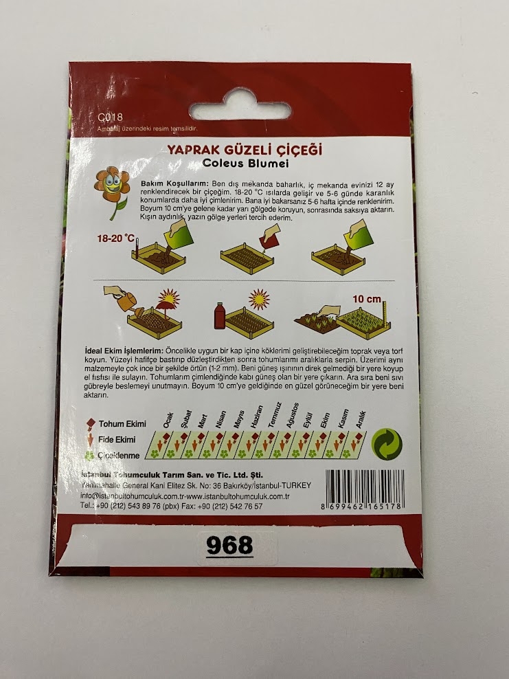 YAPRAK GÜZELİ ( ÇOKLU TOHUM ) - 150 Tohum - KARIŞIK Renk