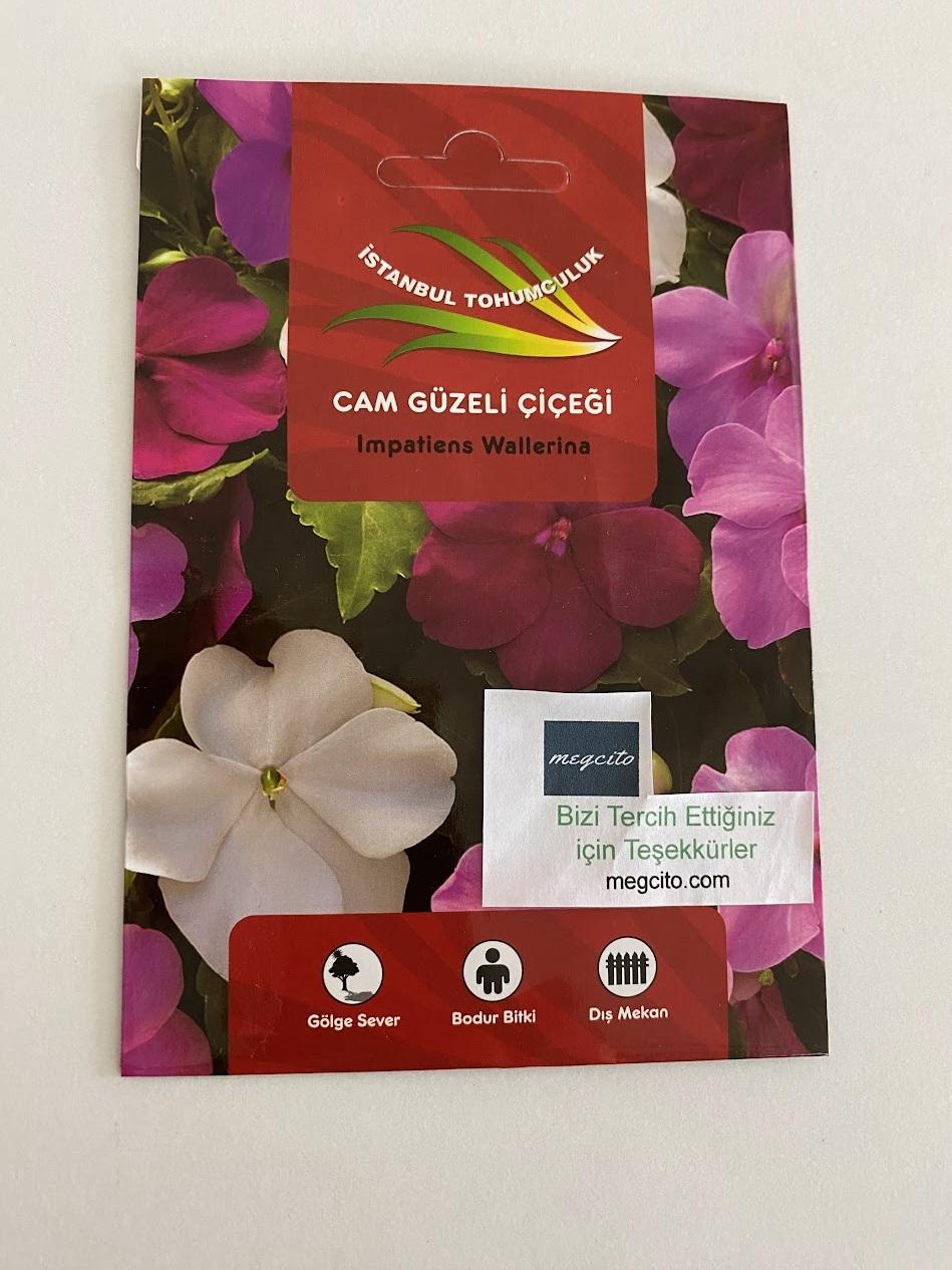 CAM GÜZELİ ( ÇOKLU TOHUM ) - 100 Tohum - KARIŞIK Renk