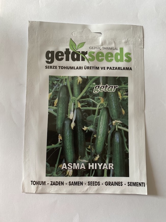 SALATALIK SIRIK ( ÇOKLU TOHUM ) - 20 Adet