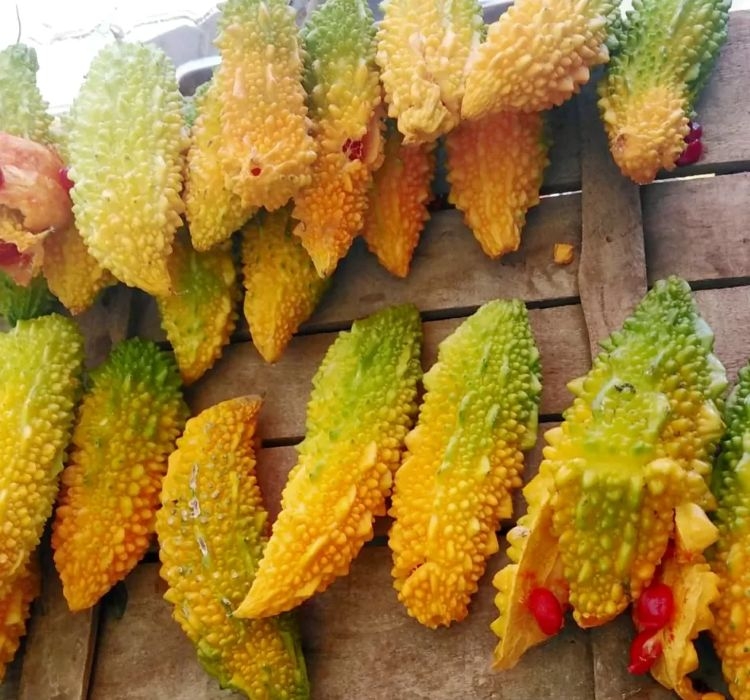 KUDRET NARI ( ÇOKLU TOHUM ) - 10 Adet