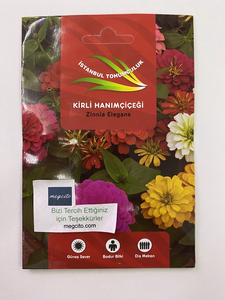 KİRLİ HANIM ZİNNİA ( ÇOKLU TOHUM ) - 200 Tohum - KARIŞIK Renk