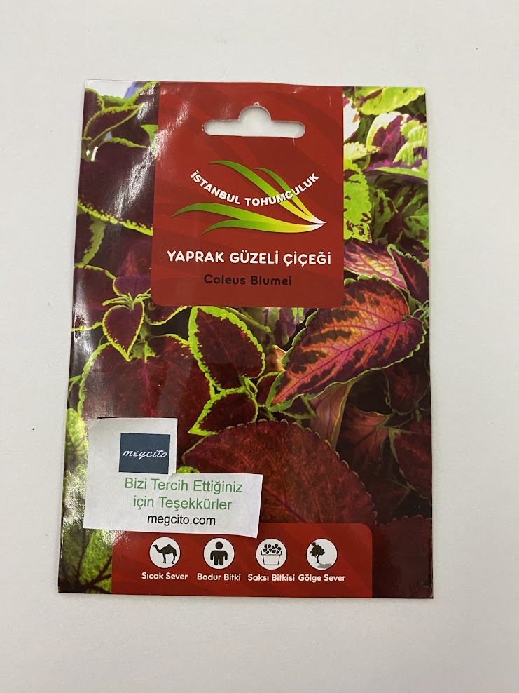YAPRAK GÜZELİ ( ÇOKLU TOHUM ) - 150 Tohum - KARIŞIK Renk