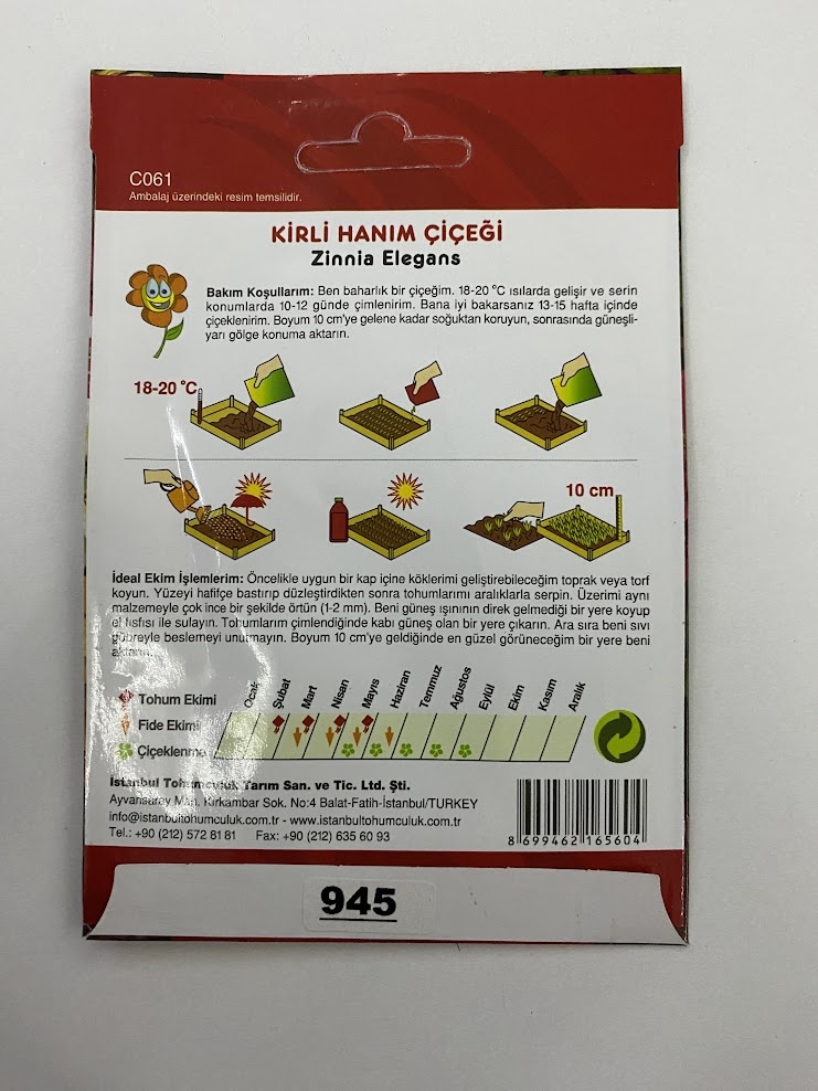 KİRLİ HANIM ZİNNİA ( ÇOKLU TOHUM ) - 200 Tohum - KARIŞIK Renk