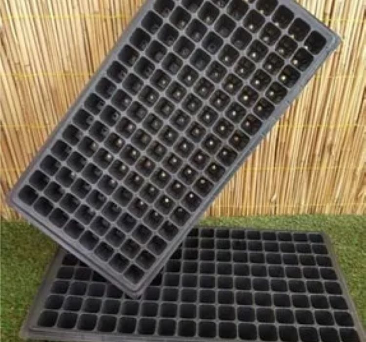 Fide Viyolü 128 gözlü - 5 Adet