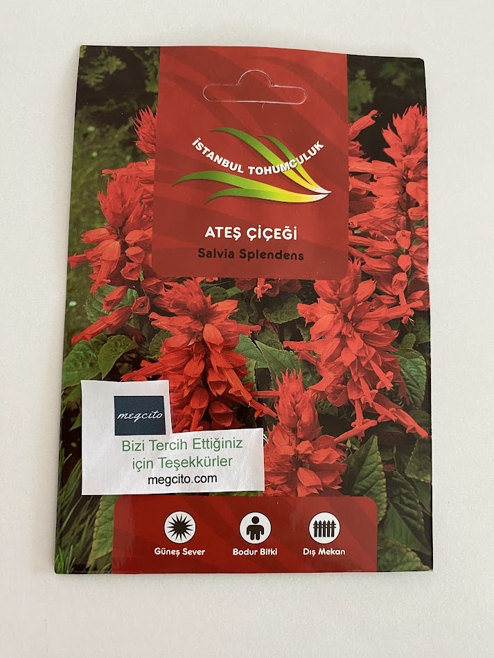 ATEŞ ÇİÇEĞİ ( ÇOKLU TOHUM ) - 75 Tohum - KARIŞIK Renk