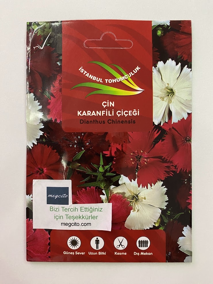 ÇİN KARANFİLİ ( ÇOKLU TOHUM ) - 100 Tohum - KARIŞIK Renk