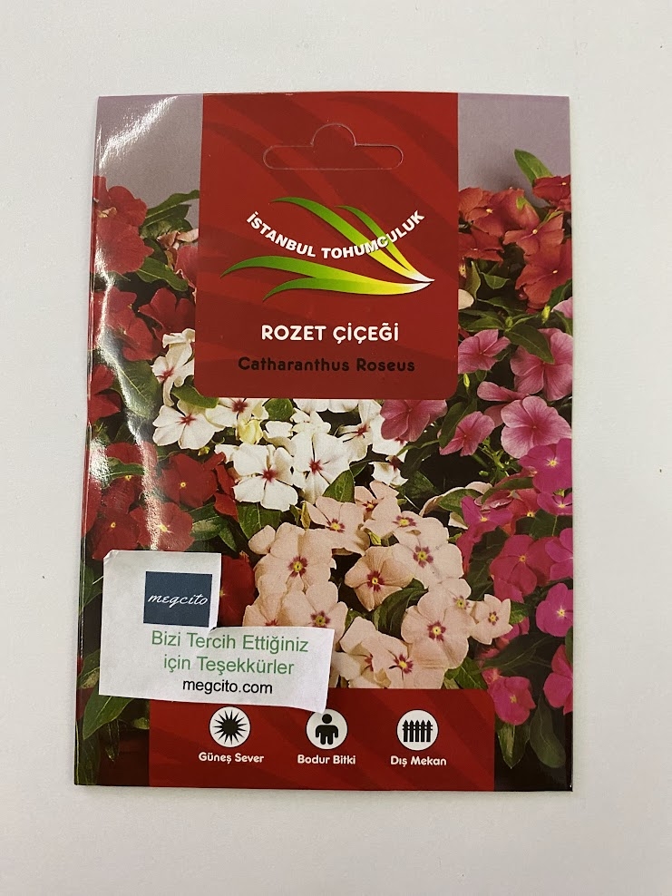 ROZET ÇİÇEĞİ ( ÇOKLU TOHUM ) - 100 Tohum - KARIŞIK Renk