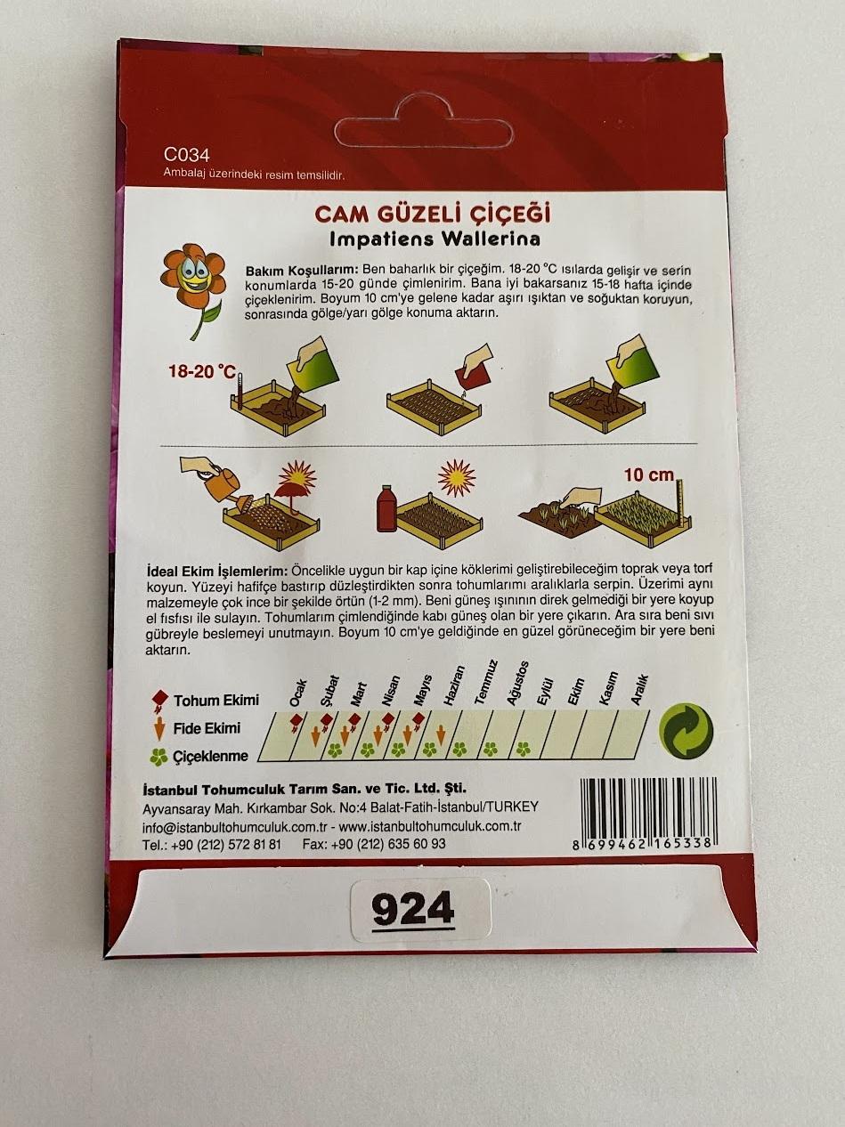 CAM GÜZELİ ( ÇOKLU TOHUM ) - 100 Tohum - KARIŞIK Renk