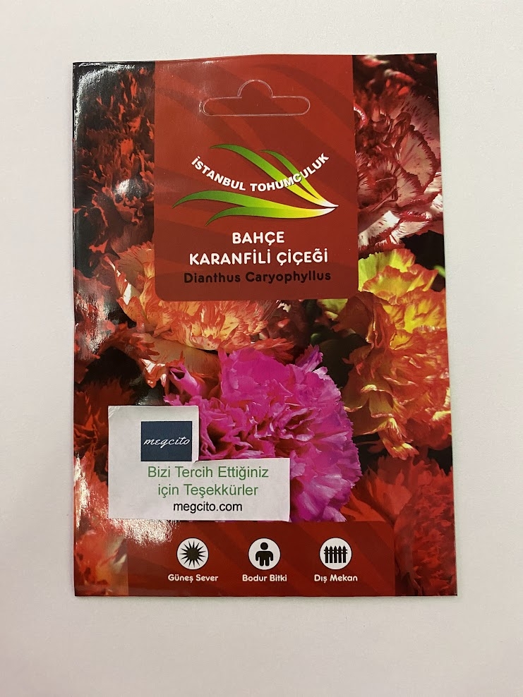 BAHÇE KARANFİLİ ( ÇOKLU TOHUM ) - 50 Tohum - KARIŞIK Renk