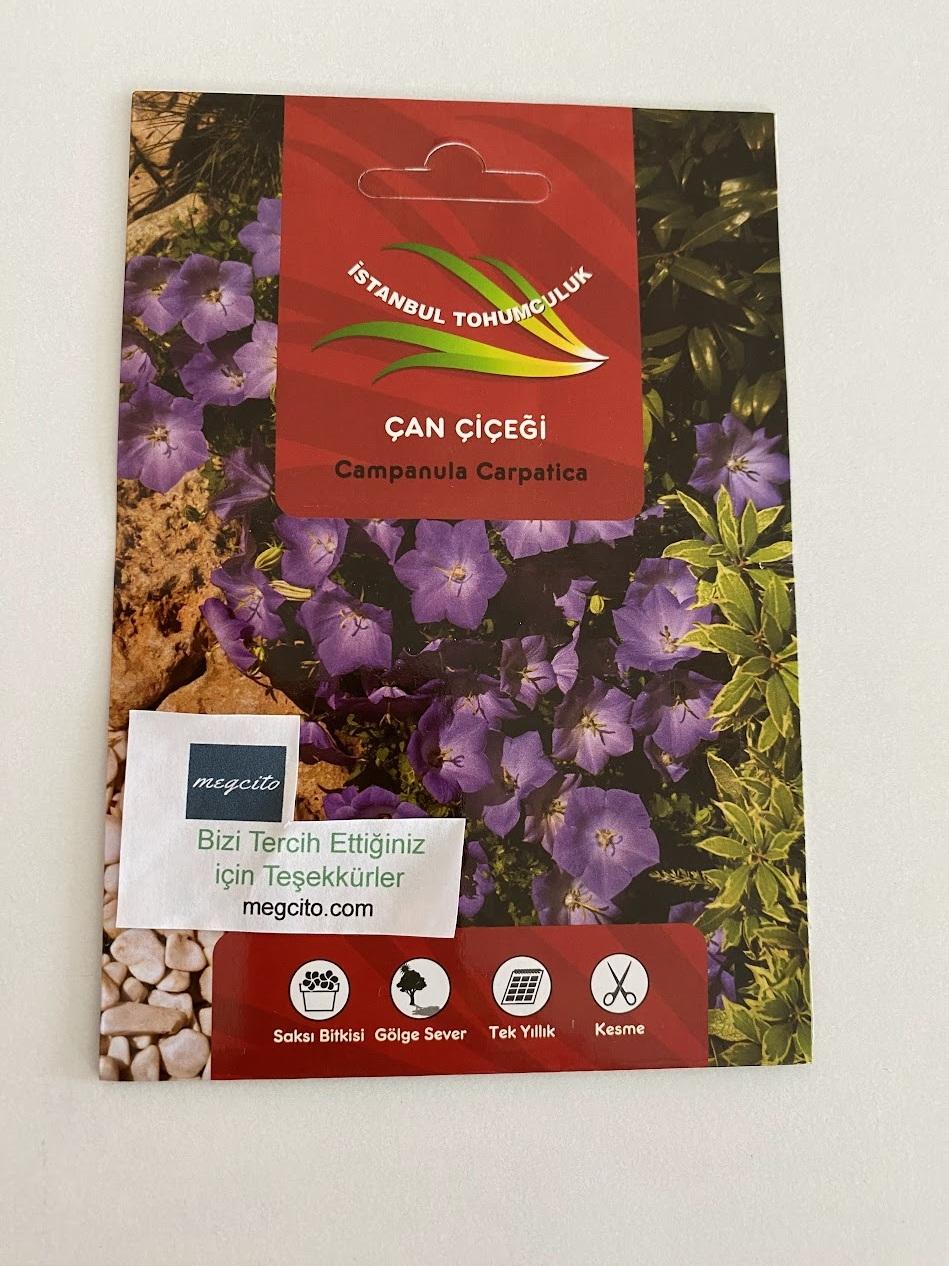 ÇAN ÇİÇEĞİ ( ÇOKLU TOHUM ) - 500 Tohum - KARIŞIK Renk