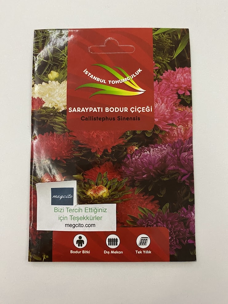 SARAYPATI BODUR ( ÇOKLU TOHUM ) - 125 Tohum - KARIŞIK Renk
