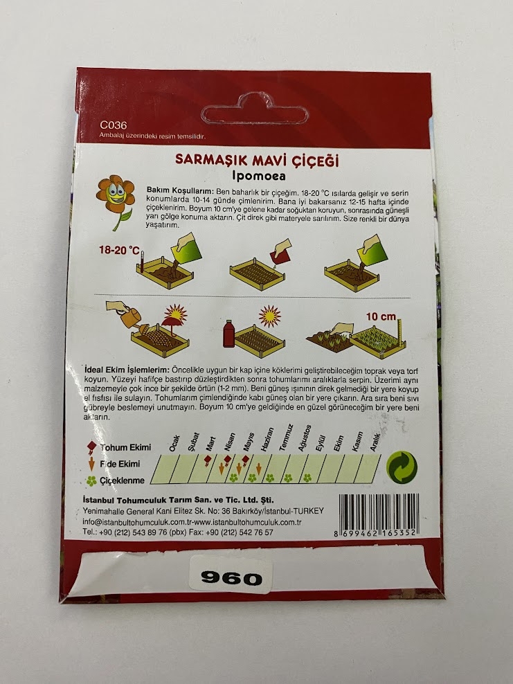 SARMAŞIK ( ÇOKLU TOHUM ) - 50 Tohum - MAVİ Renk