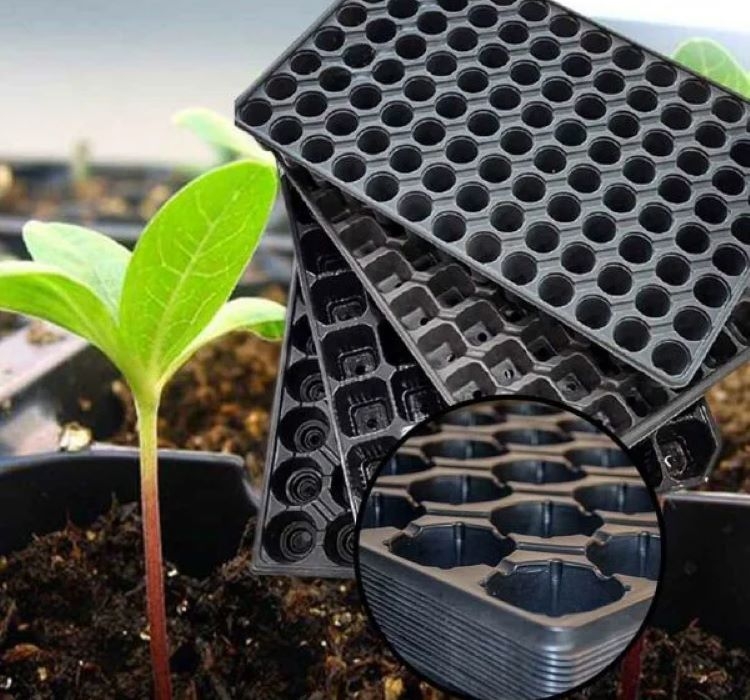 Fide Viyolü 128 gözlü - 5 Adet